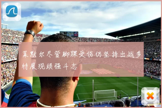 莱默尔尽管脚踝受伤仍坚持出战多特展现顽强斗志