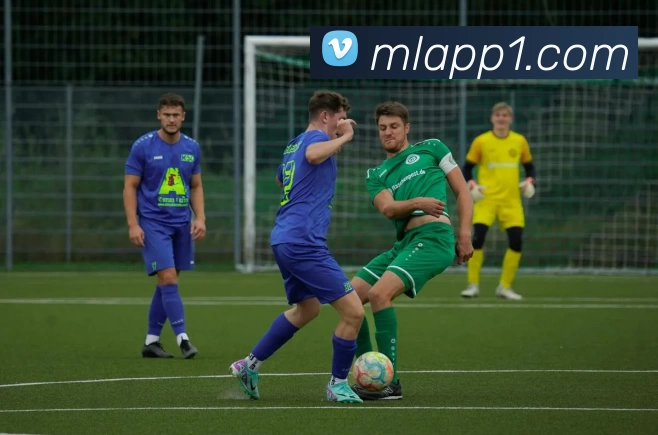 米兰体育App平台生态图